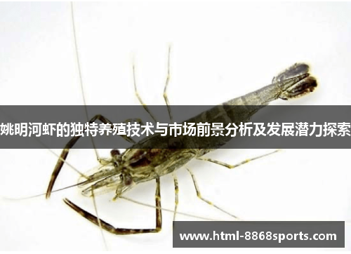 姚明河虾的独特养殖技术与市场前景分析及发展潜力探索